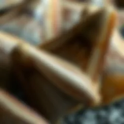 Close-up of genuine shark teeth showcasing distinct features and textures