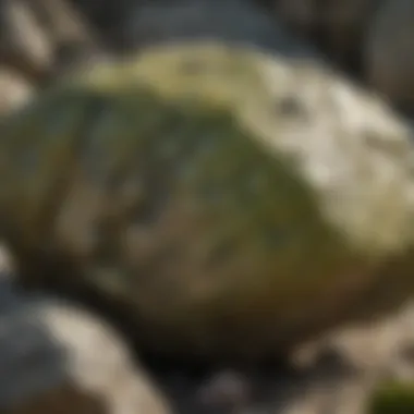 Unique Texture of Olive Green Rock Close-up view of olive green rock showcasing its unique texture and colors