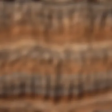 A close-up view of sedimentary rock layers displaying intricate patterns formed over time