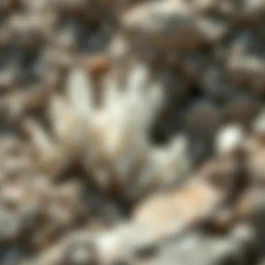 Natural Geological Formation Geological formation of white crystals with grey lines in natural settings