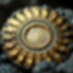 Close-up of a pyrite sun specimen showcasing its intricate layers and patterns