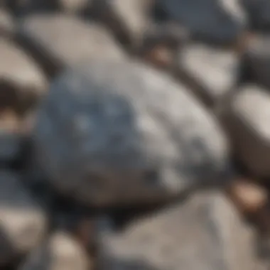 The Unique Texture of Shiny Gray Rocks Close-up view of a shiny gray rock showcasing its unique texture and sheen