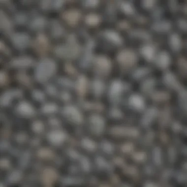 Diverse Collection of Shiny Gray Rocks A collection of shiny gray rocks displayed in a natural setting