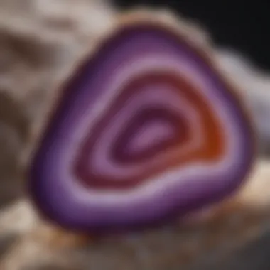 Purple Agate Slice An elegant slice of purple agate highlighting its unique banding and rich coloration