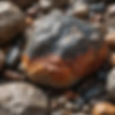 Metamorphic rock displaying unique textures and colors