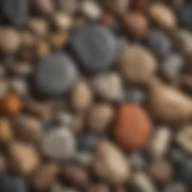 Diverse Rock Collection: A Study in Geological Variety A collection of rock specimens illustrating diverse types