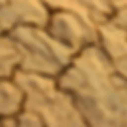 Close-up view of natural sandstone texture showing unique patterns
