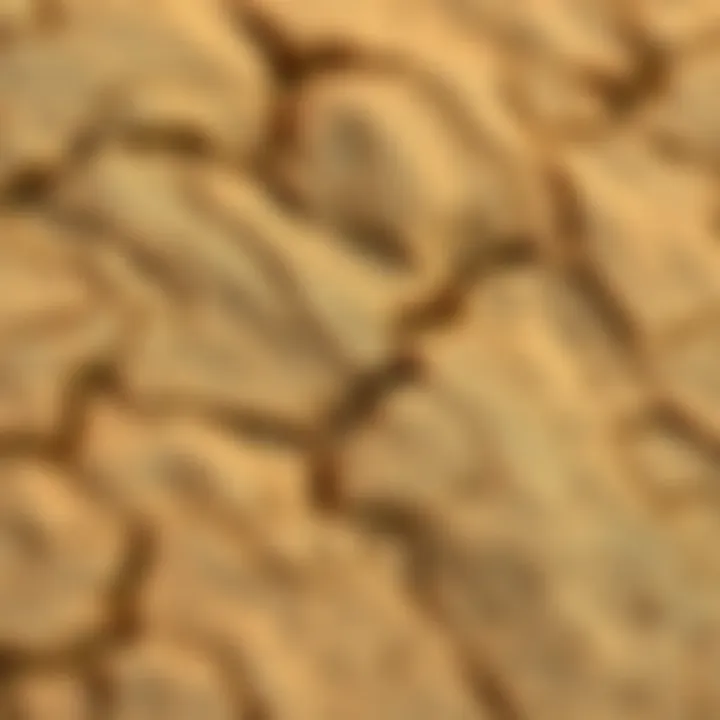 Close-up view of natural sandstone texture showing unique patterns