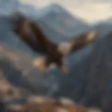 A majestic eagle soaring high above a mountain range