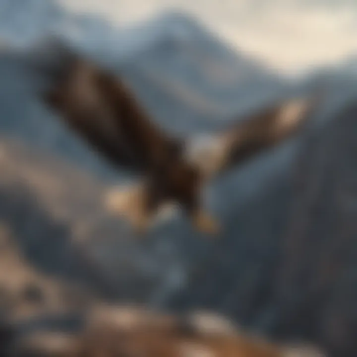 A majestic eagle soaring high above a mountain range