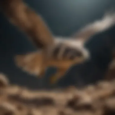 Falcon in a Daring Dive A falcon diving swiftly towards its prey in a stunning display of agility