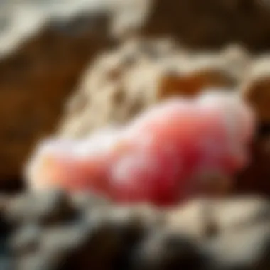 A graph illustrating market trends and pricing fluctuations of rose quartz over time