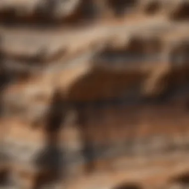 Layers of sedimentary rocks displaying unique patterns and fossils