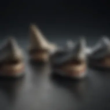 Comparison of Megalodon Teeth Sizes Comparison of megalodon teeth sizes showcasing various dimensions