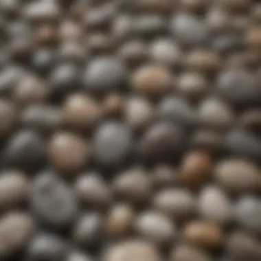 Diverse collection of Petoskey stones in various sizes and shapes