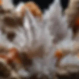 A close-up view of various quartz crystal formations showcasing their unique structures and colors.