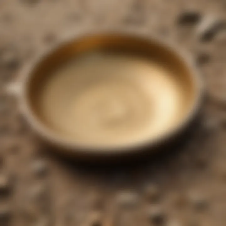 A detailed view of a classic gold pan with sediment