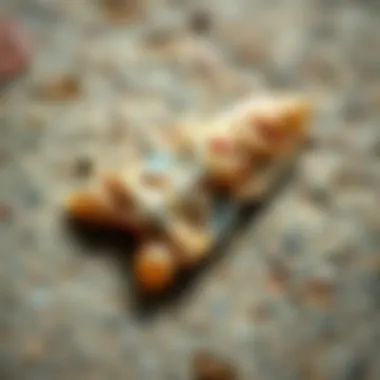 Finely Crafted Arrowhead Close-up of a finely crafted arrowhead