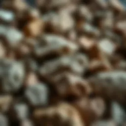 A close-up view of various rock types displaying unique textures and colors.