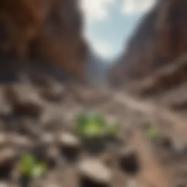 Peridot Mining Location Mining location known for peridot deposits